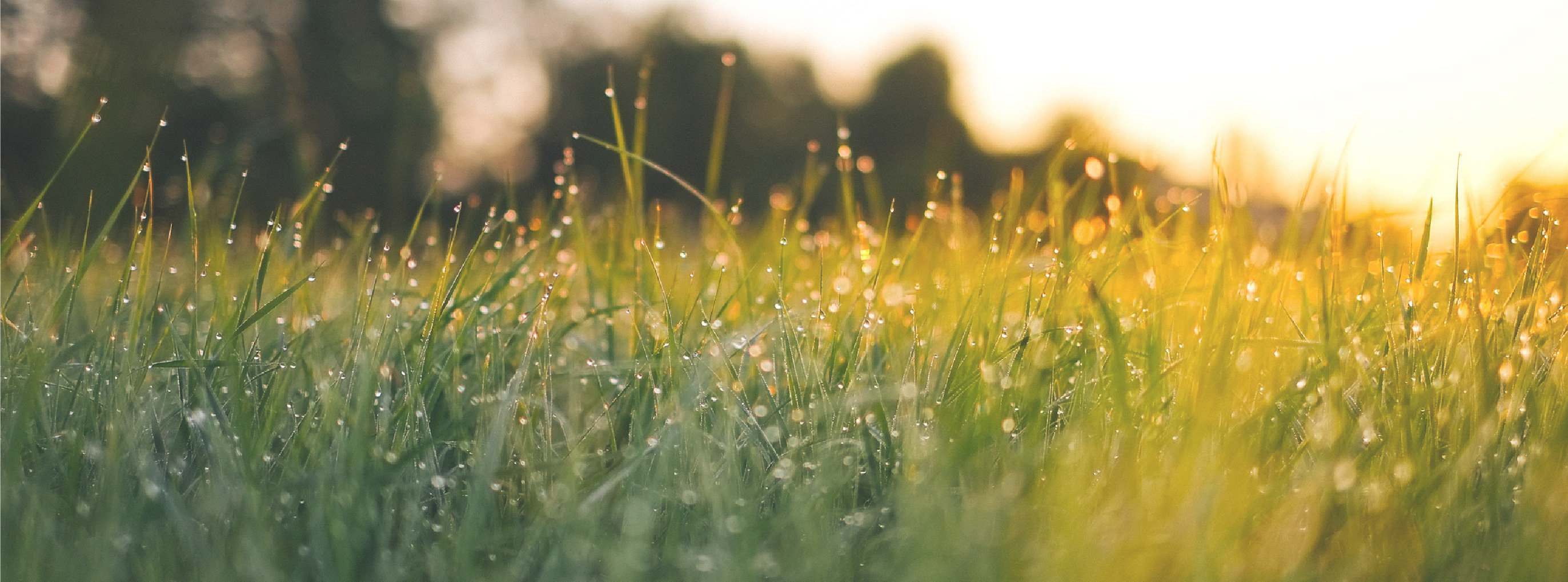 Club de Golf La Moraleja